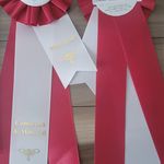 Tom_MJCosplay-AnimeNorth2025-Awards2